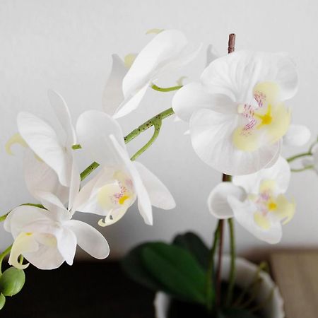 Lovely Home Paola Puerto Rico  Ngoại thất bức ảnh